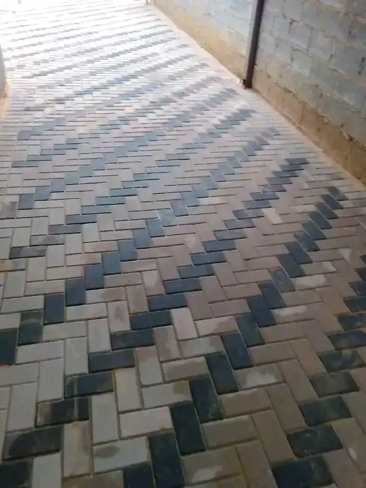 Herringbone pattern paved walkway