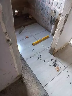 Bathroom renovation with newly laid floor tiles and a spirit level